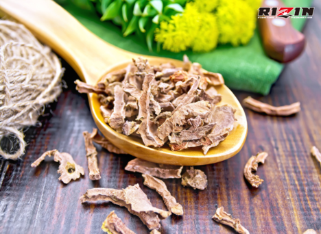Cây Rễ Vàng chữa yếu sinh lý