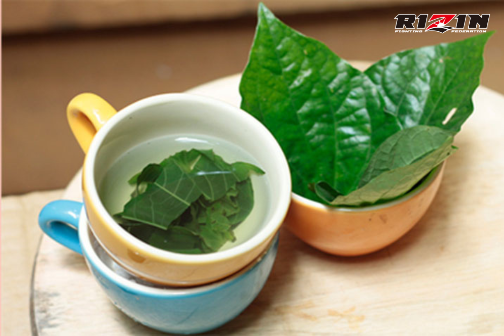 Công thức pha trà chữa yếu sinh lý từ lá lốt