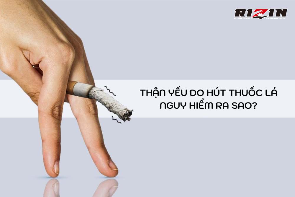 Thận Yếu Do Hút Thuốc Lá Nguy Hiểm Ra Sao?