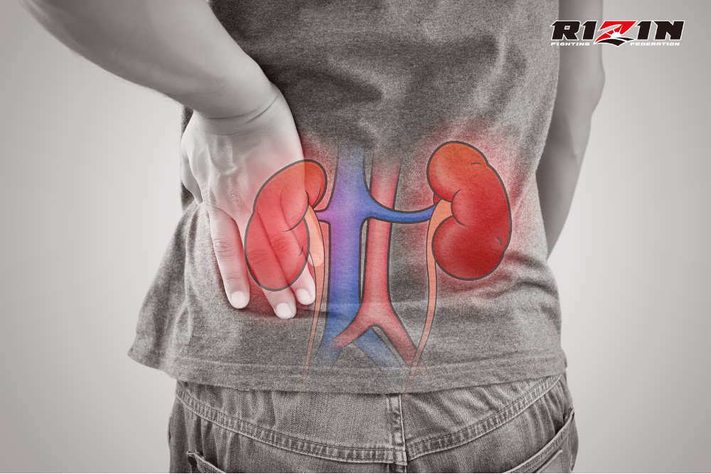 Cách nhận biết đau thận và đau lưng