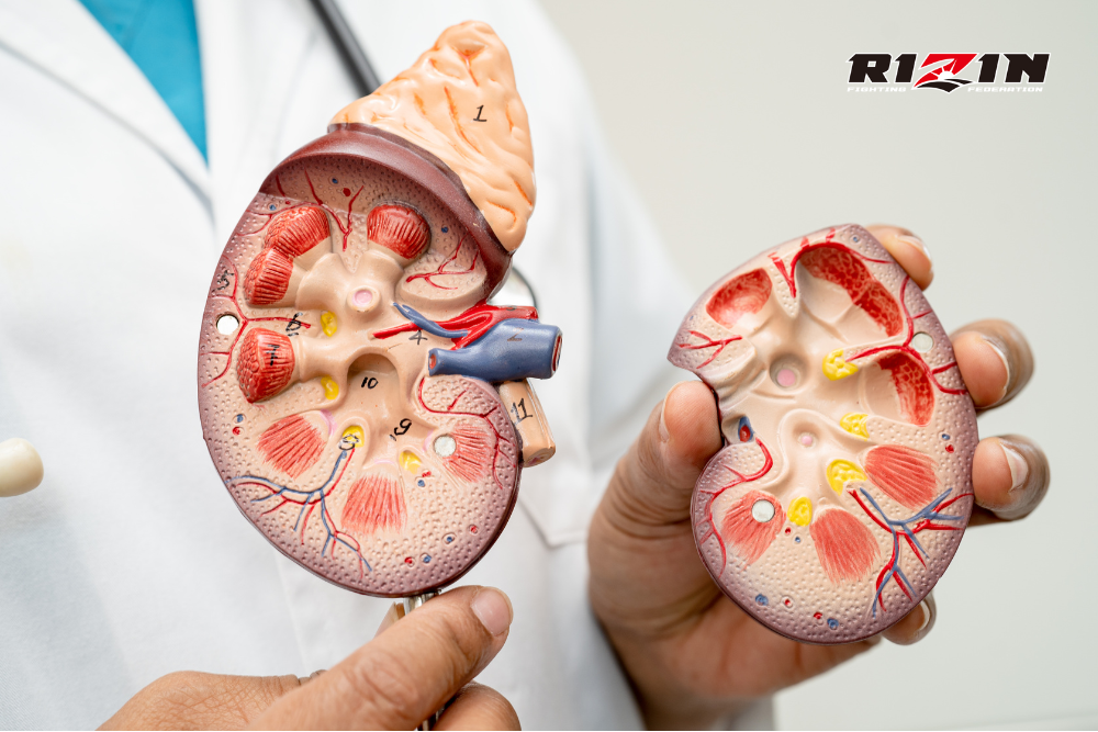 Quan hệ nhiều có thực sự gây thận yếu?