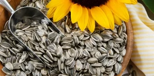 Vitamin E trong hạt hướng dương giúp ngăn ngừa tổn thương tế bào gan do stress oxy hóa.