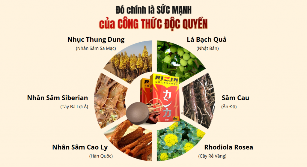 Thành phần bổ thận Rizin