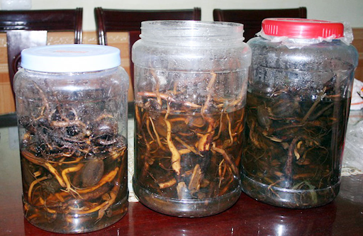 Viên uống bổ thận Rizin