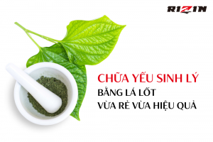 Chữa Yếu Sinh Lý Bằng Lá Lốt, Vừa Rẻ Vừa Hiệu Quả