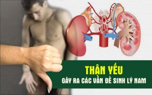 Thận yếu sinh lý yếu